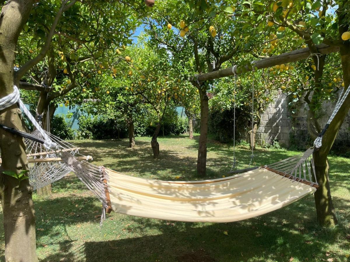 Casa Sorrento, Immerso Nel Verde A Pochi Passi Dal Centro Extérieur photo