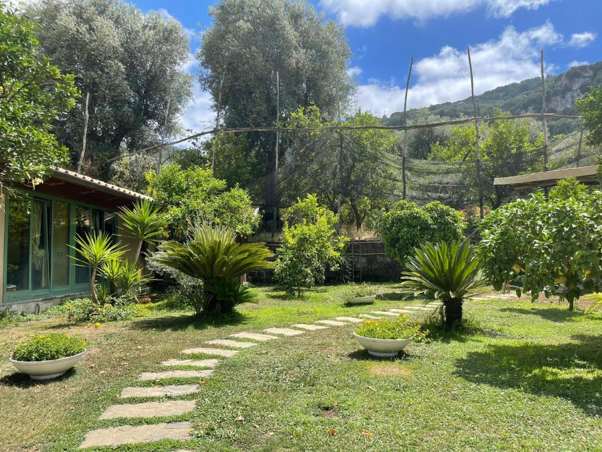 Casa Sorrento, Immerso Nel Verde A Pochi Passi Dal Centro Extérieur photo